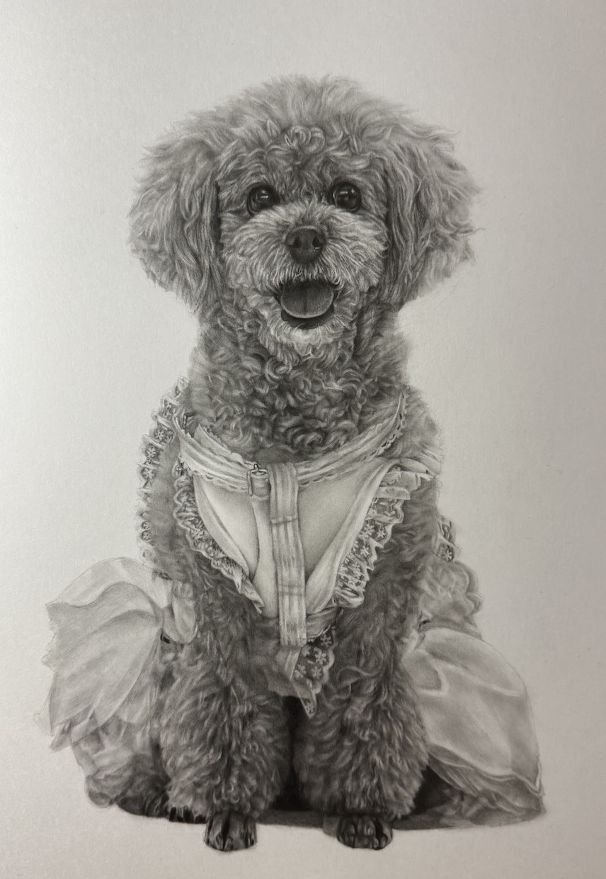 鉛筆画でリアルな絵を描きます ペットや風景の絵など思い出作りに イメージ1