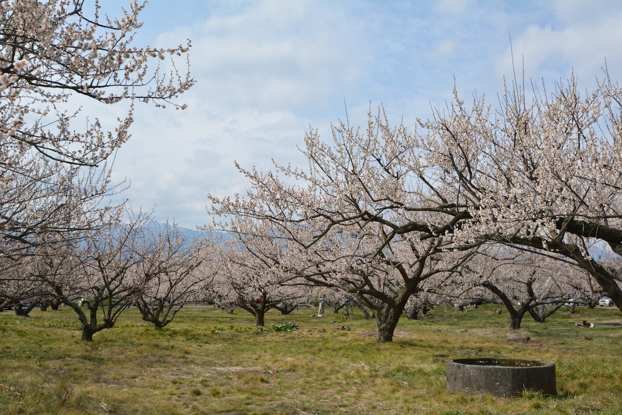 箱根町・小田原市のおすすめアドバイス致します 個人旅行、友人と、家族で、カップルで様々なシチュエーションに イメージ10
