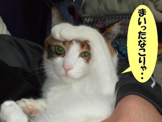 人には中々言えない話でも聞きます 人間関係、仕事、お金、恋愛など周りには話せないことでもOK イメージ4