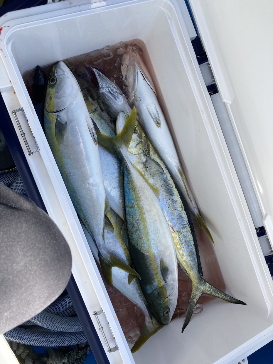 初心者〜熟練者まで！釣りの相談のります 動画ではわからない釣具の選び方や良い船宿選定教えます イメージ4