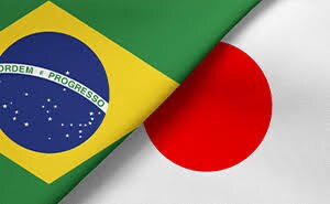 スペイン語⇆日本語⇆ポルトガル語の翻訳承ります 日本とブラジルのハーフによる、本格的な翻訳。 イメージ2