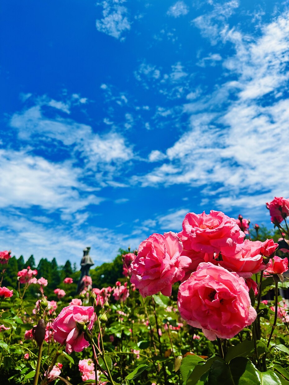 あなたの話を聞きます 悩み、相談、愚痴、惚気、とにかく話を聞いて欲しい。なんでも イメージ1