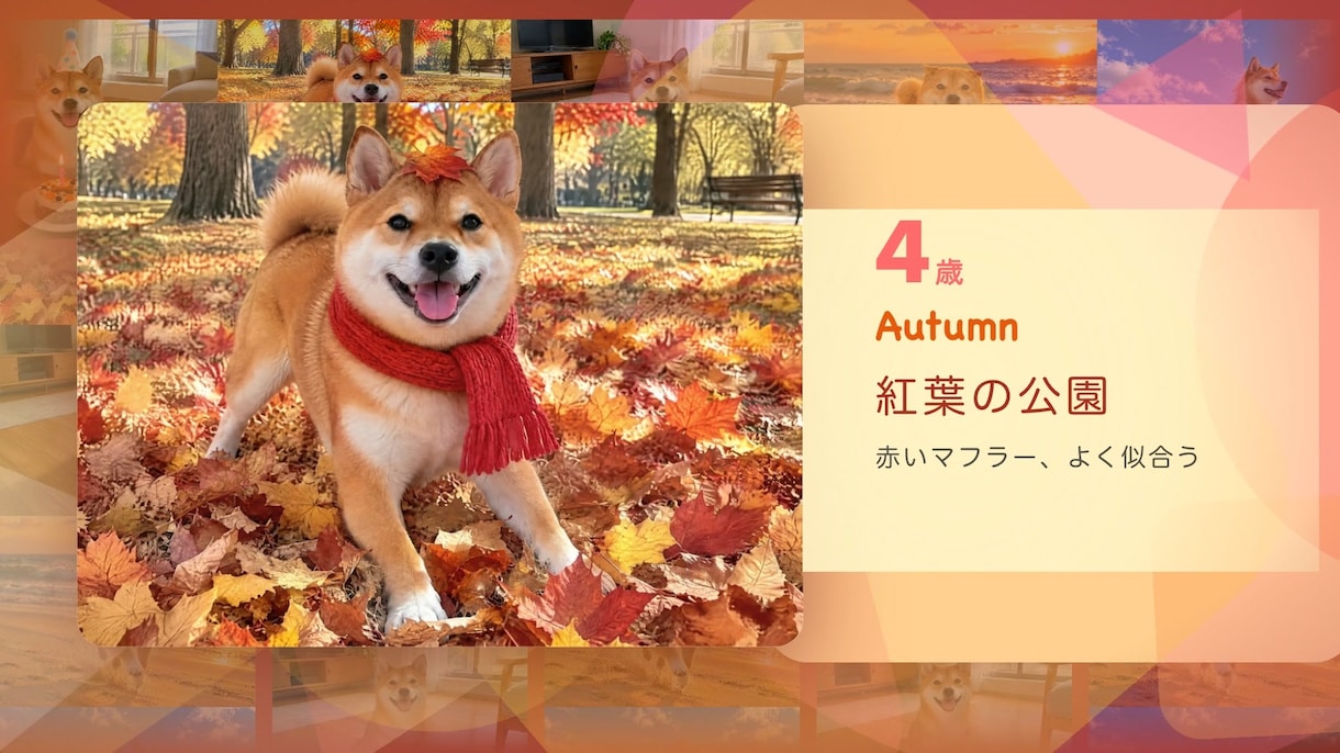 ポップに動く！ペットの思い出ムービー作ります お気に入りで15%オフ 写真と動画で約3分 イメージ5
