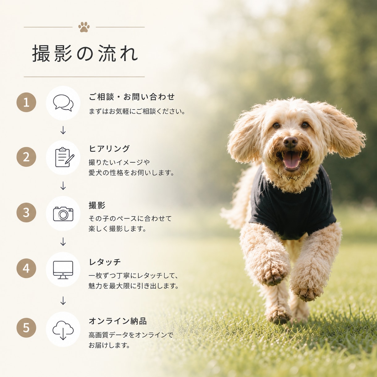 愛犬・ペットを自然な表情で出張撮影します 遊ぶ姿も、見つめる表情も、その子らしさを一枚に。 イメージ7