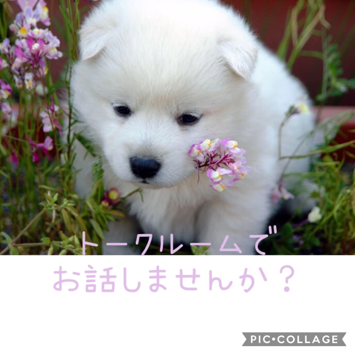 2日間あなたに寄り添います 誰かとちょっと話をしたい方、トークルームでお話しませんか？ イメージ1