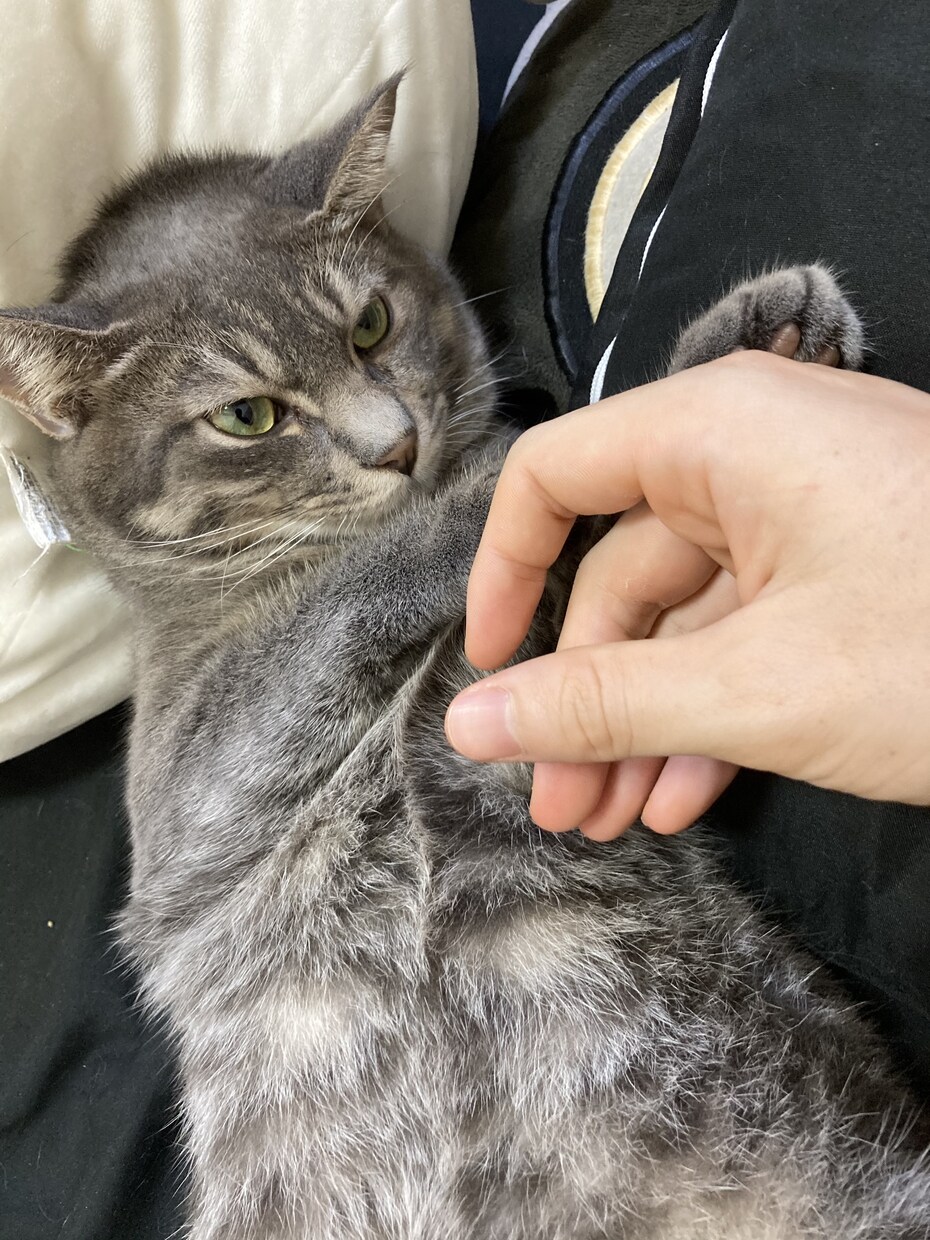 ワードプレス  保守開発、修正対応します 素早く修正！困ったら単発で対応しますよー！ イメージ1