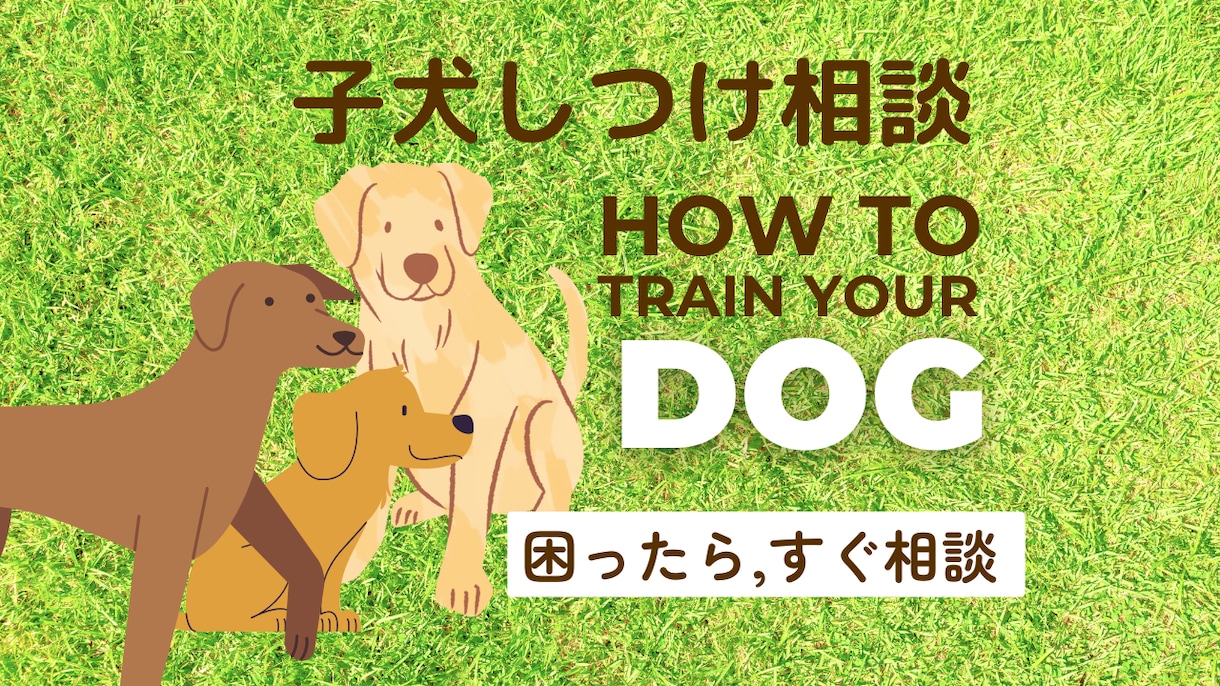 犬しつけお悩み相談-現役トレーナーが助言いたします 今の状況に合う対策をアドバイス イメージ1
