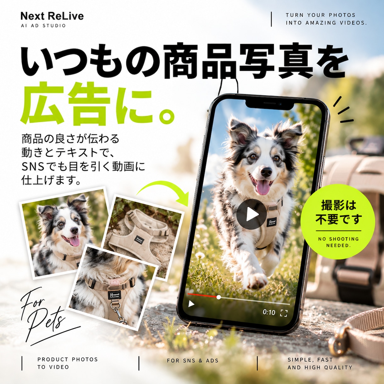 写真1枚からSNSで目を止める縦型動画を作ります 写真からAI動画を生成します！ イメージ8