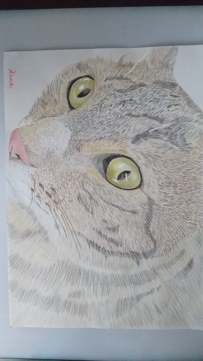 あなたのペットのイラストを色鉛筆で描きます 大切な家族、イラストにしませんか？ イメージ2