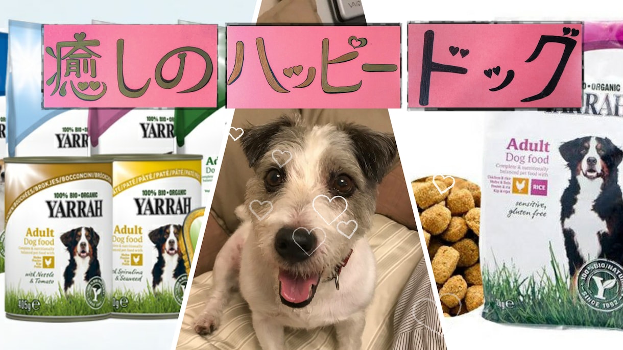 ペットのお話を聞かせて頂いてます うわさ話や自慢話など、気軽にお話下さい。 イメージ7