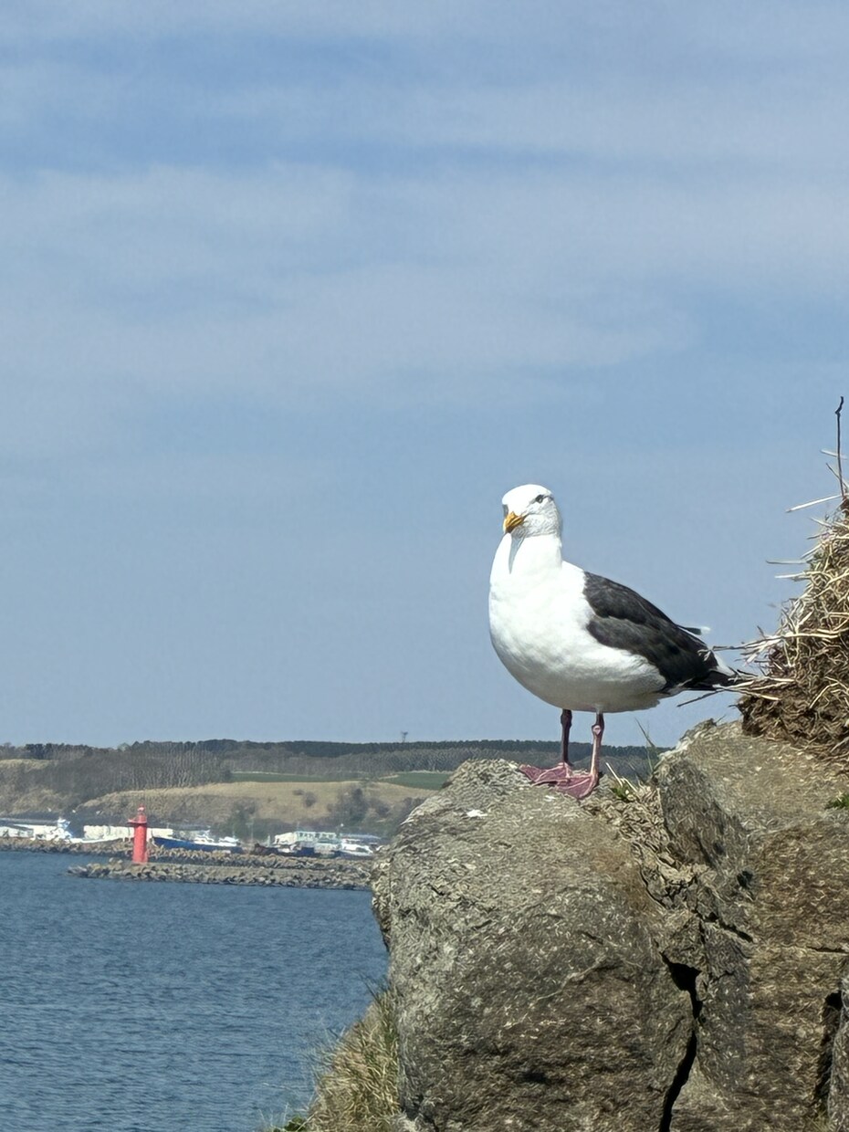 あなたの大切な旅は、私がサポートします 元旅行会社の企画担当が、ご要望をとことん伺い、旅をカタチに。 イメージ10