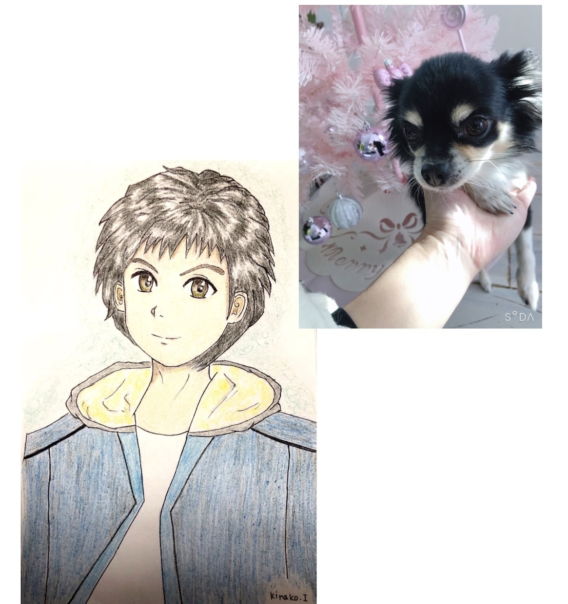 ペットちゃんからの思いをメッセージにして伝えます ペットちゃんが人間だったらどんな顔？！イラストにおこします イメージ1