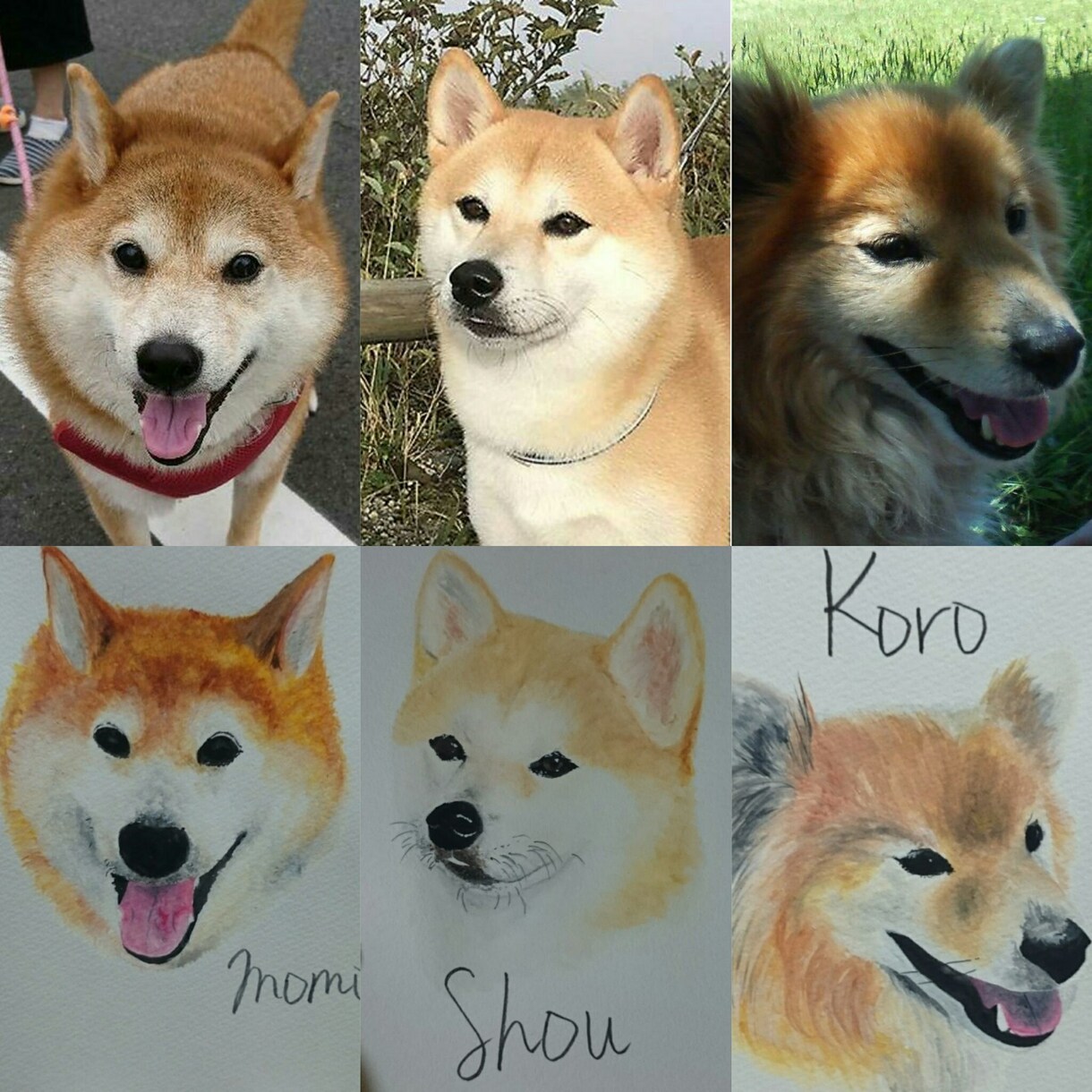 多種多様のペットの似顔絵描きます 可愛い動物たちの絵をあなたにとどけますどんな動物でも依頼可 イメージ3