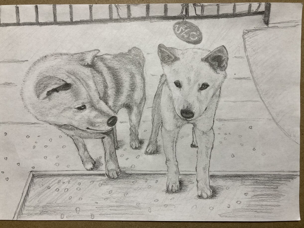鉛筆でお犬さんを描きます お犬さんの思い出の写真を鉛筆画にいたします。 イメージ10