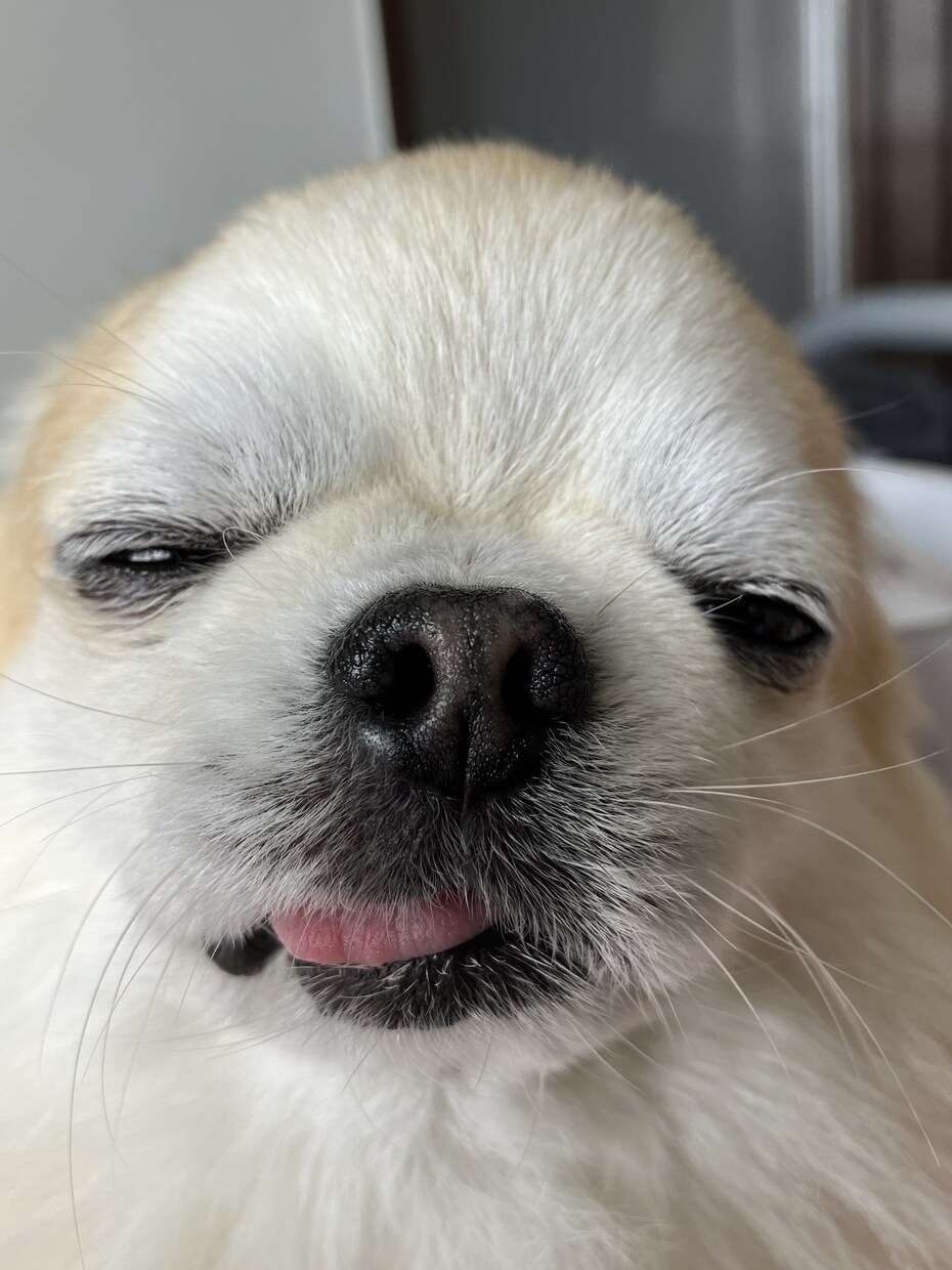 チャットでのんびりと相談に乗ります のんびり話したい、ただ聞いて欲しい気構えずまったりと イメージ1