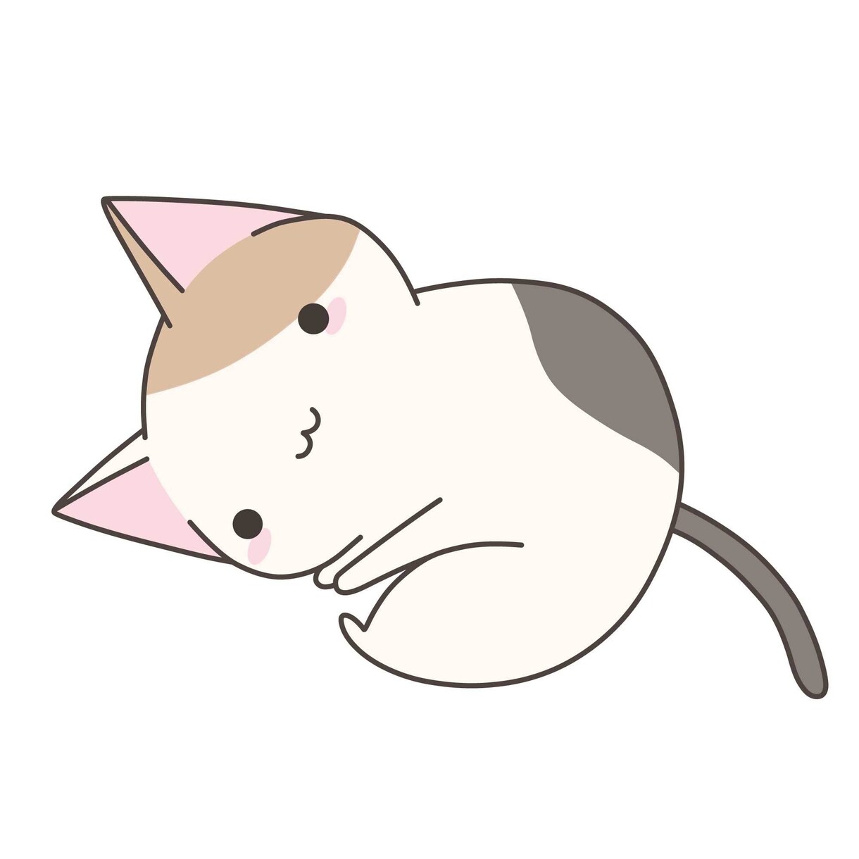 猫ペットロス～大切な思い出話、お聴きします ペットロス・猫・楽しかった思い出、悲しい気持ち話しませんか？ イメージ3