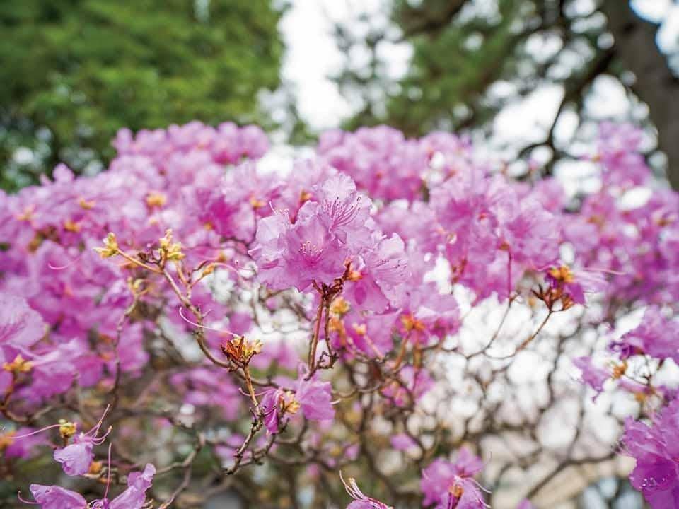 誰にも話せない悩みを否定せず30分お聴きします 話すだけで頭が整理され確実に次の一歩が見えます イメージ2