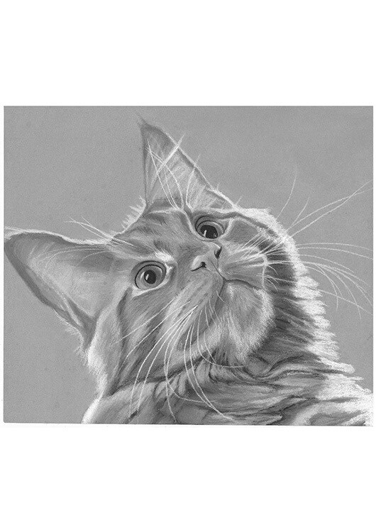 猫、犬等ペットの似顔絵をモノクロでリアルに描きます 鉛筆画、パステルなどで白黒の小動物を写真のように描きます イメージ6