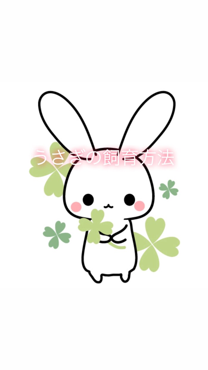 うさぎさんを飼っている方のお悩みに答えます 初めてお迎えする方、病気かも…と不安な方へ イメージ1