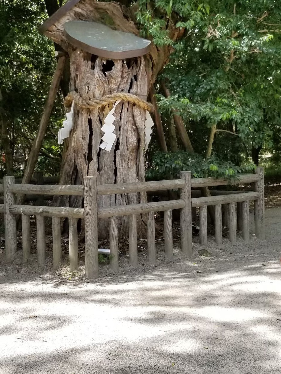 神域の門～惹かれる場所との相性を占います 神様とのご縁、そこにいる存在とのご縁 イメージ5
