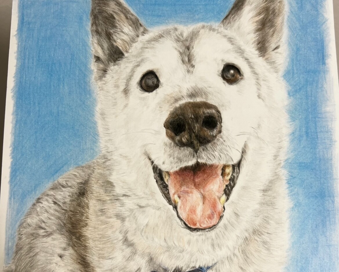 心を込めたペットの似顔絵描きます 大切な家族を色鉛筆で命を吹き込みます イメージ6