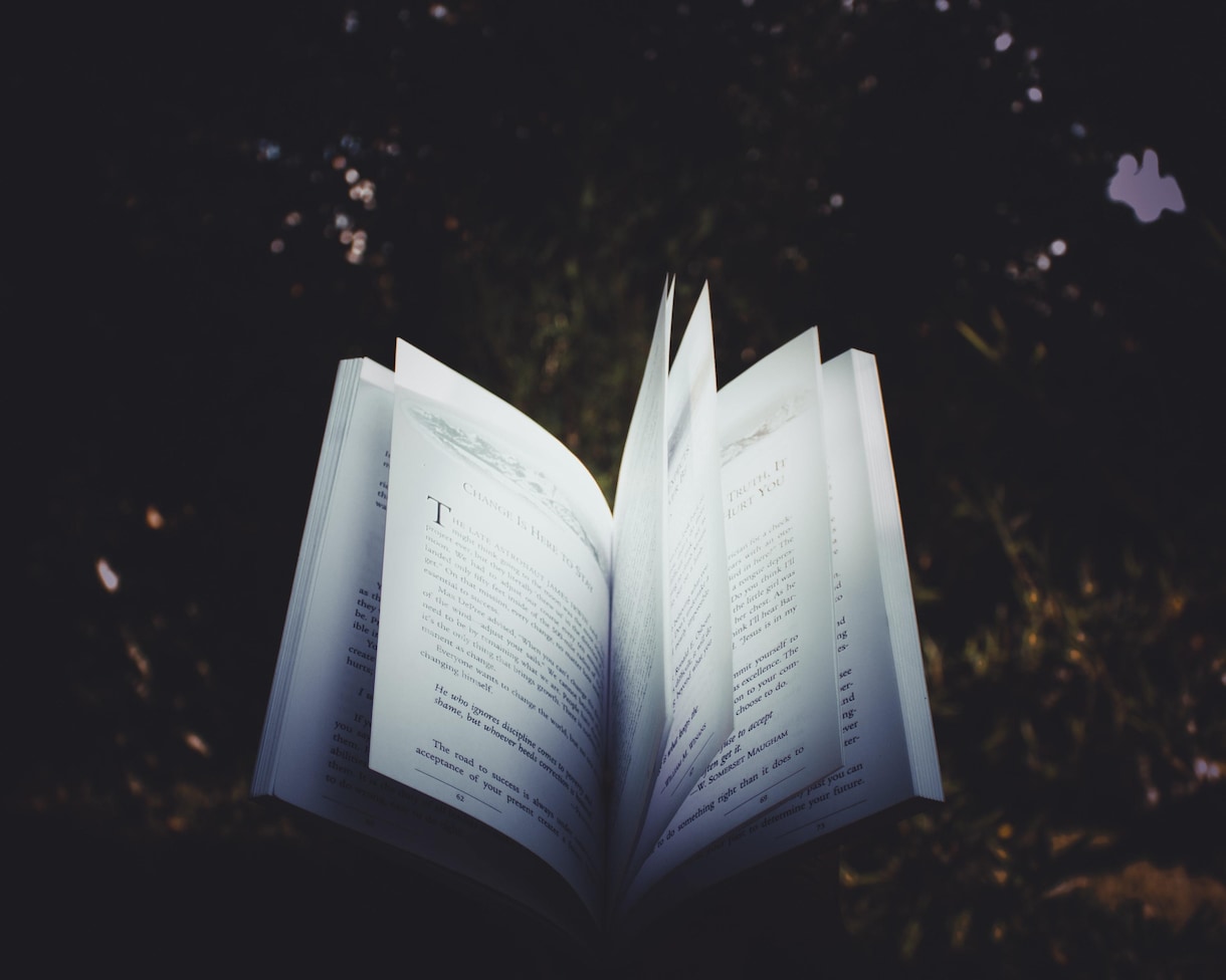 あなたの代わりに本を読みダイジェストします 忙しすぎて本が読めない人のための《超時短》読書体験を。 イメージ3
