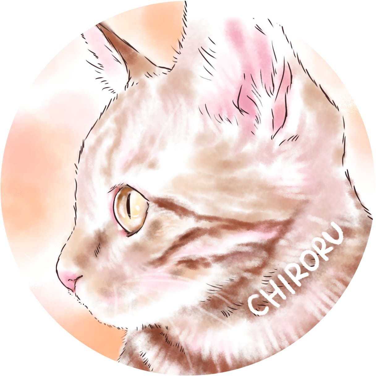 ふんわり可愛い♪水彩画風うちの子アイコン描きます オーダーメイドの愛猫イラスト♡癒し／ペット／似顔絵／SNS イメージ8