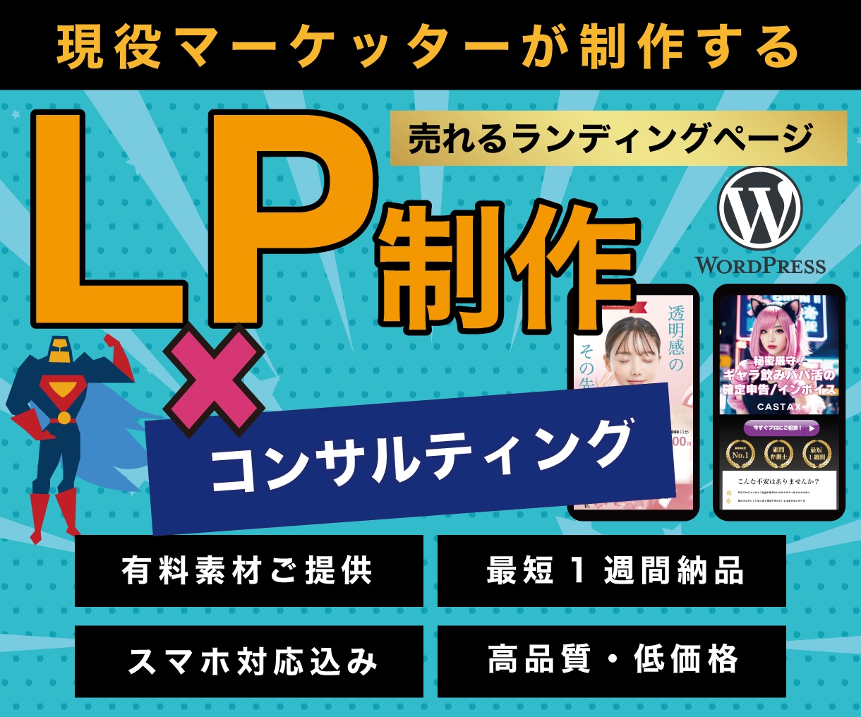 広告運用のプロが売上直結型のLPを制作します マーケティングコンサルとしてよりよいご提案をいたします！ イメージ1