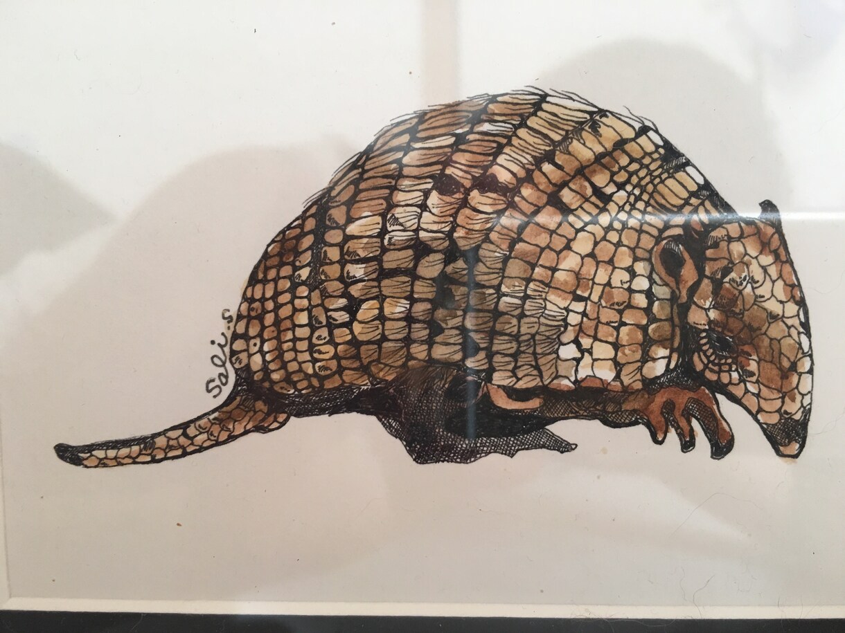 好きな動物、昆虫、花などを絵にします 大切なものを絵に残したいあなたへ イメージ2