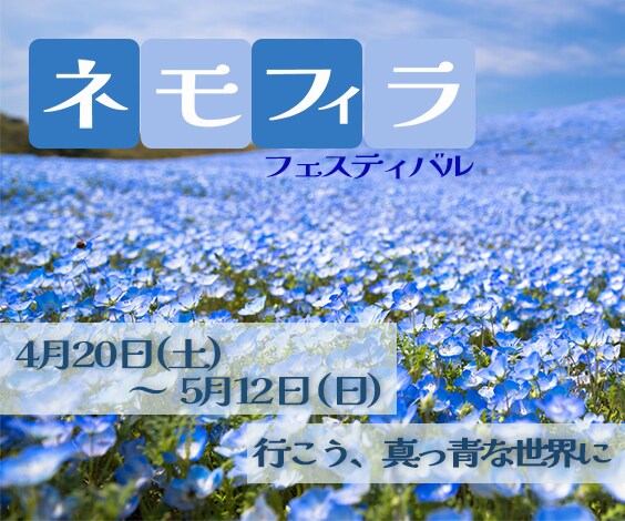 明るくかわいいバナーを作ります 目を引くデザインを使用したい方へ イメージ3