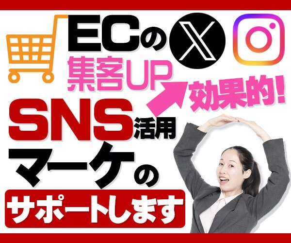 売上直結!集客UP向上のSNS運用コンサルします 自社サイト担当、初心者の方も歓迎★お悩みを解決 イメージ1