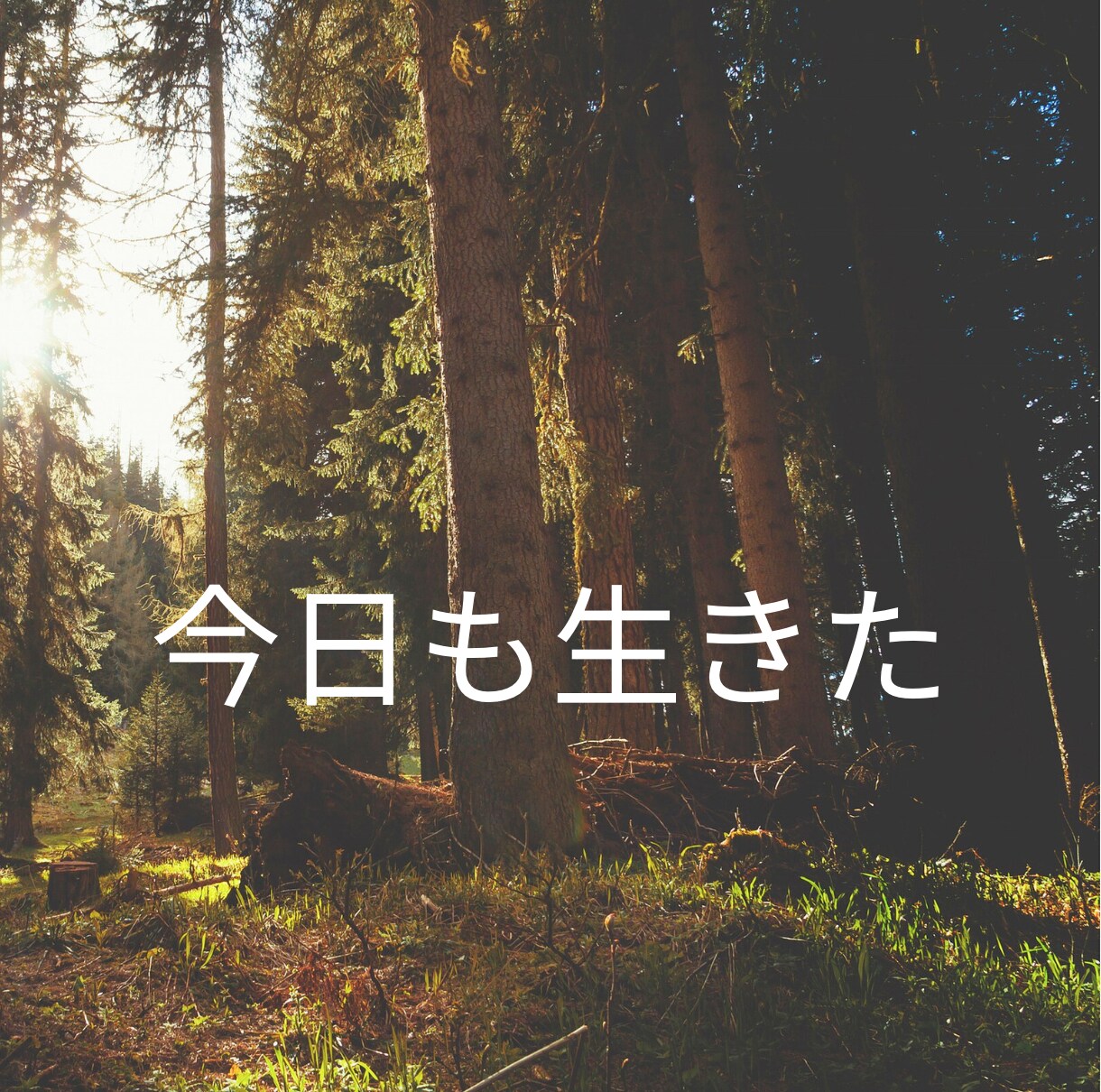 吐き出してください！私があなたの悩み全力で聞きます あなたの辛さを必ず理解します！ イメージ1