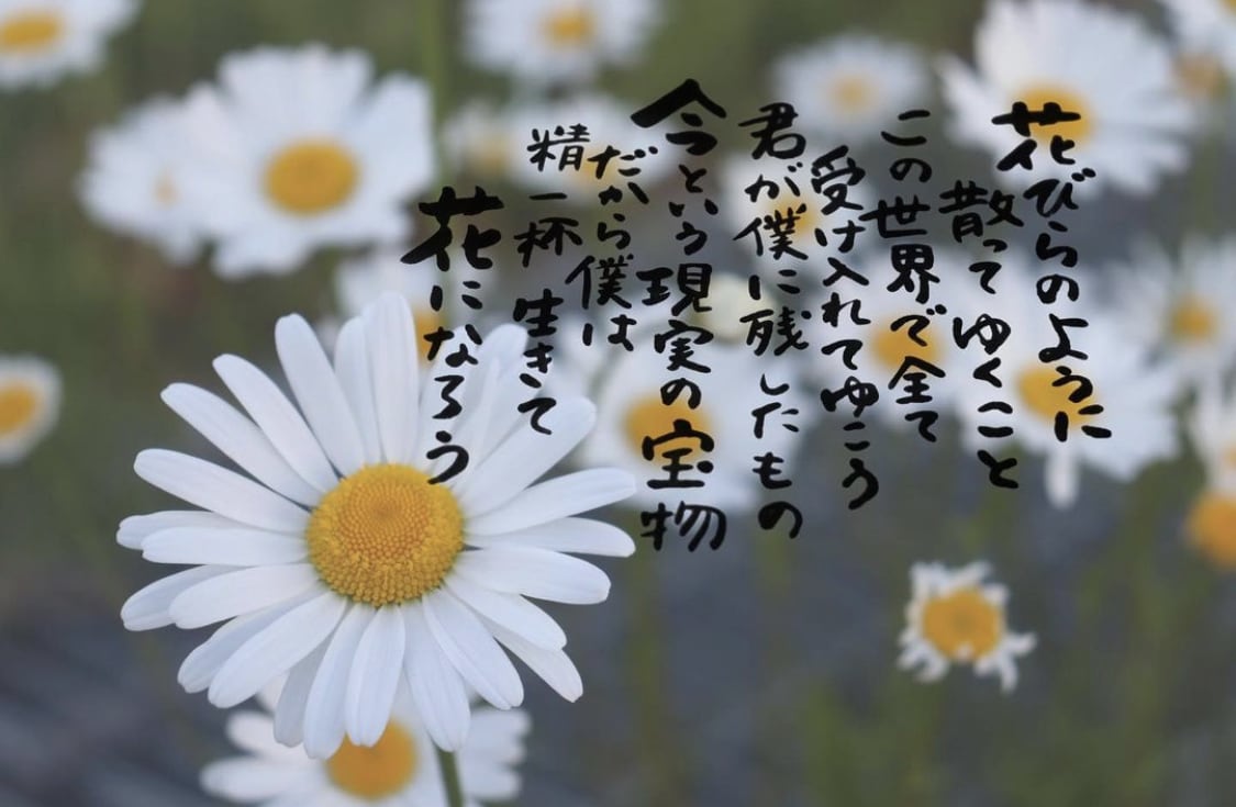 お好きな写真にお好きな言葉、文字入れします 様々な字体で書くことできます！要望ありましたら応えます！ イメージ2