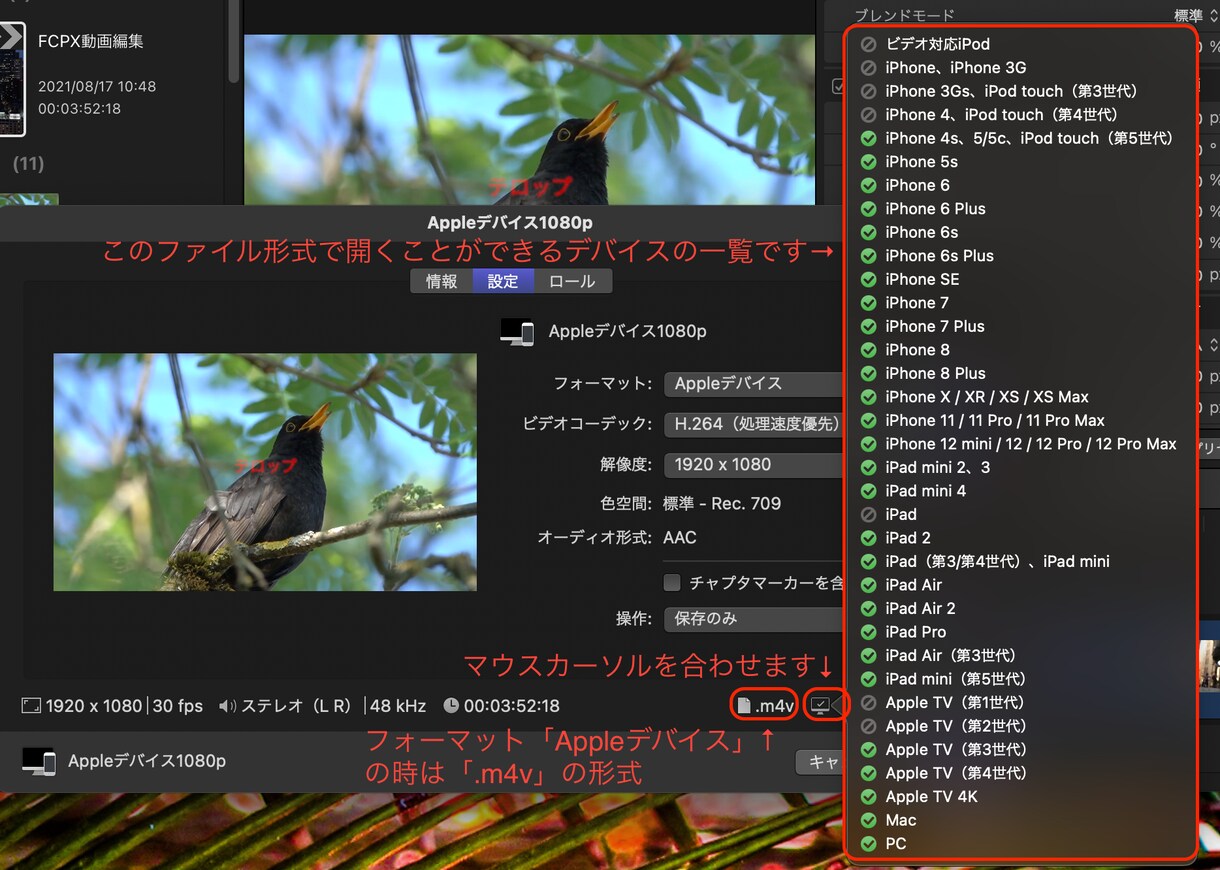 難しいと思ってません？動画編集の基礎教えます ８割は最初でつまづく！動画編集の最初の壁は１日で突破できる イメージ6