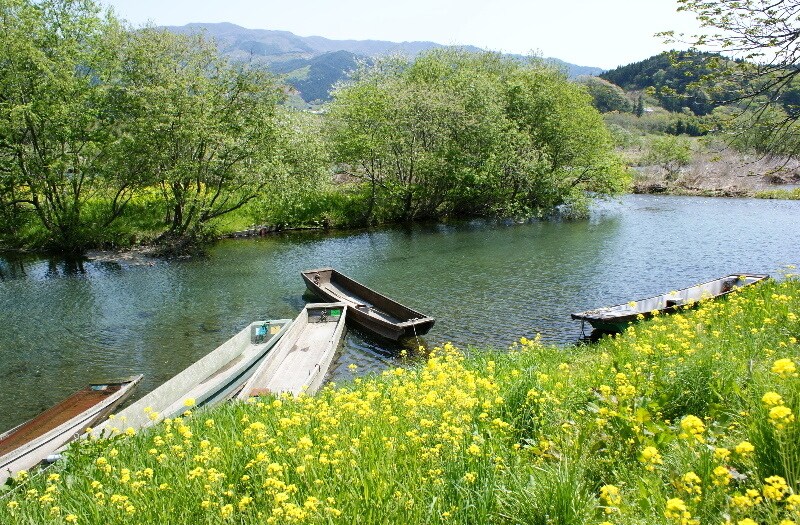 陸前高田市内の写真撮影を1時間又は10枚分致します 一眼レフ使用暦25年。現像所勤務時代に仕事としても撮影。 イメージ3