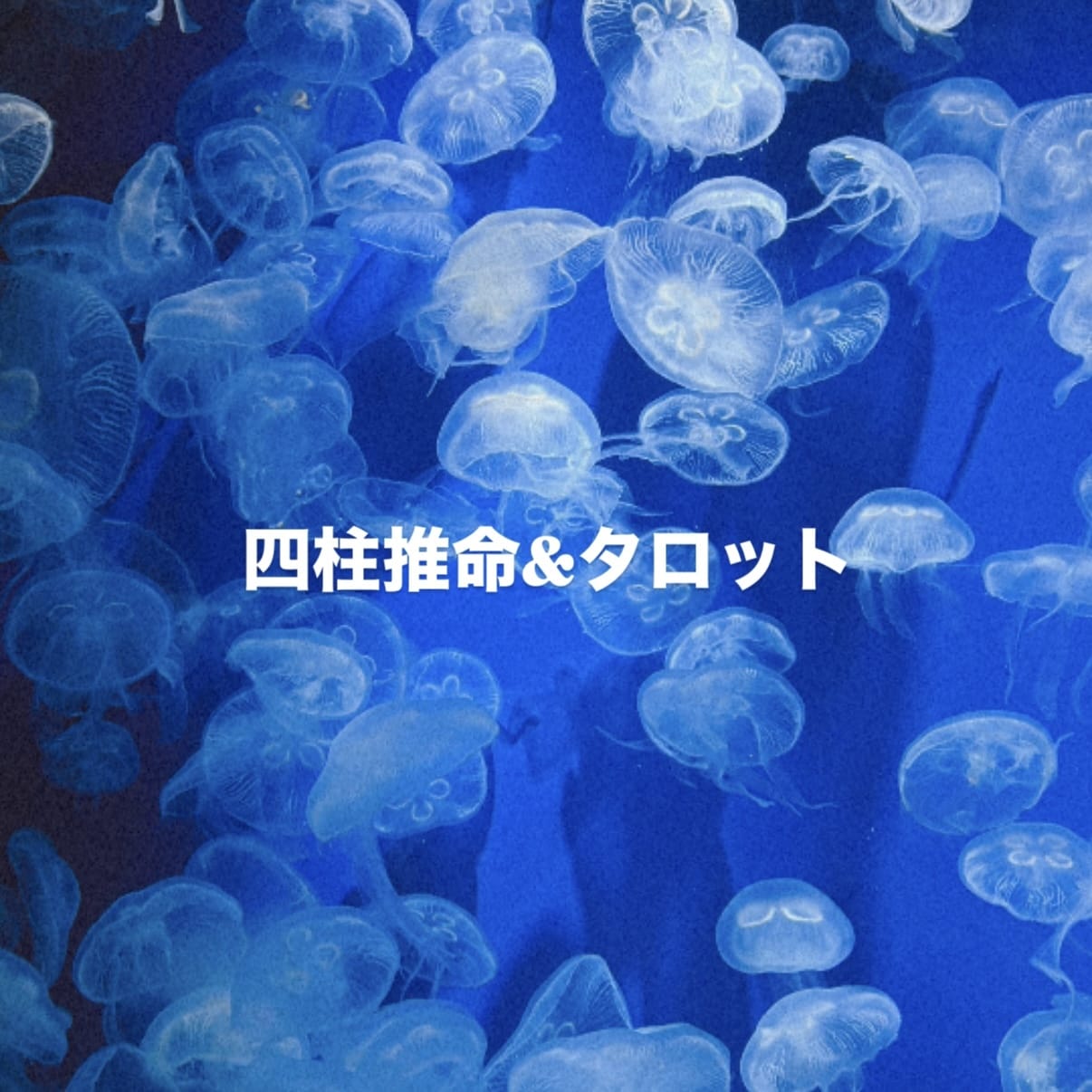 あなたのお悩み何でもお聴きします 心のモヤモヤや、まとまらない不安をそのままお聴かせ下さい イメージ1