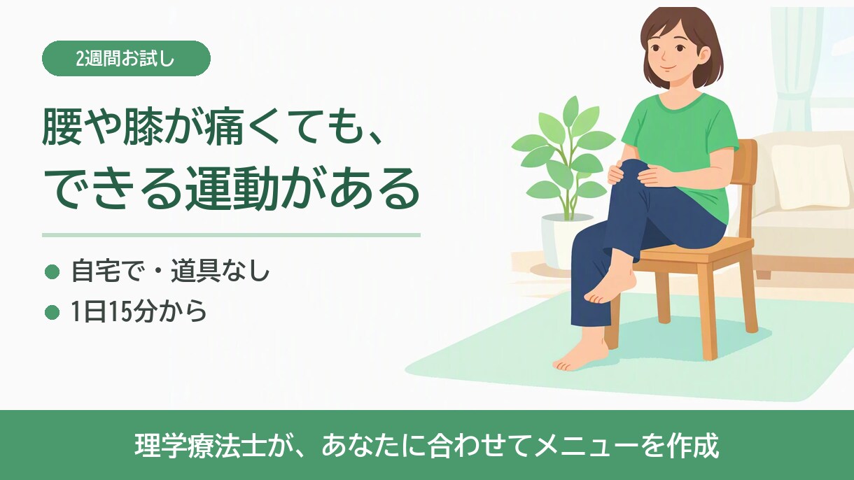 理学療法士が腰痛・膝痛でもできる運動を作ります 痛くて運動が続かない方へ。自宅で道具なし、1日15分から イメージ1