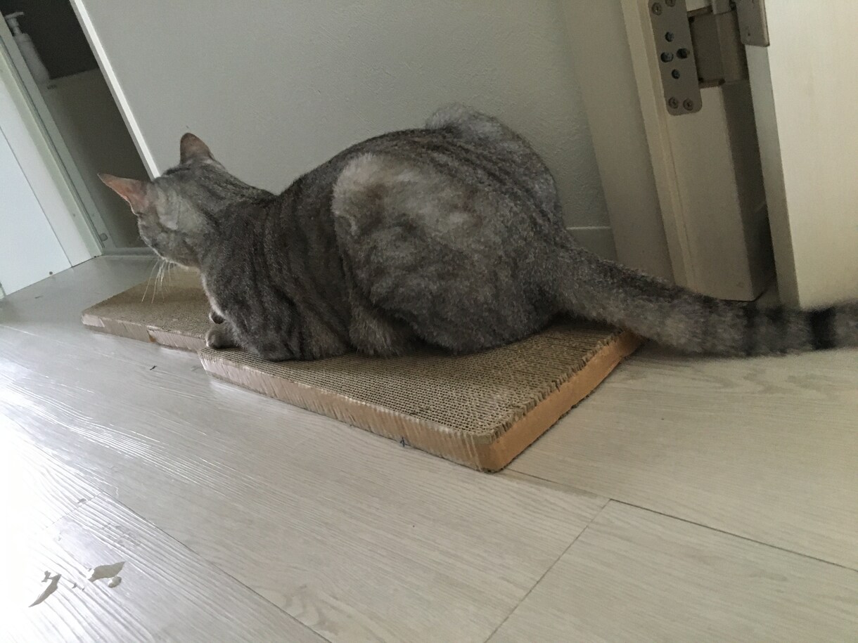 お話聞きます はなしきいてほしいときないですか。 イメージ2