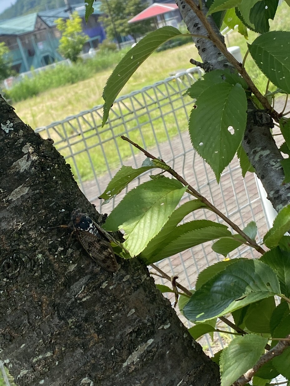 小さなモヤモヤ一緒に減らします 学校や会社、家でモヤモヤしたり辛い。一緒に減らしましょう。 イメージ1