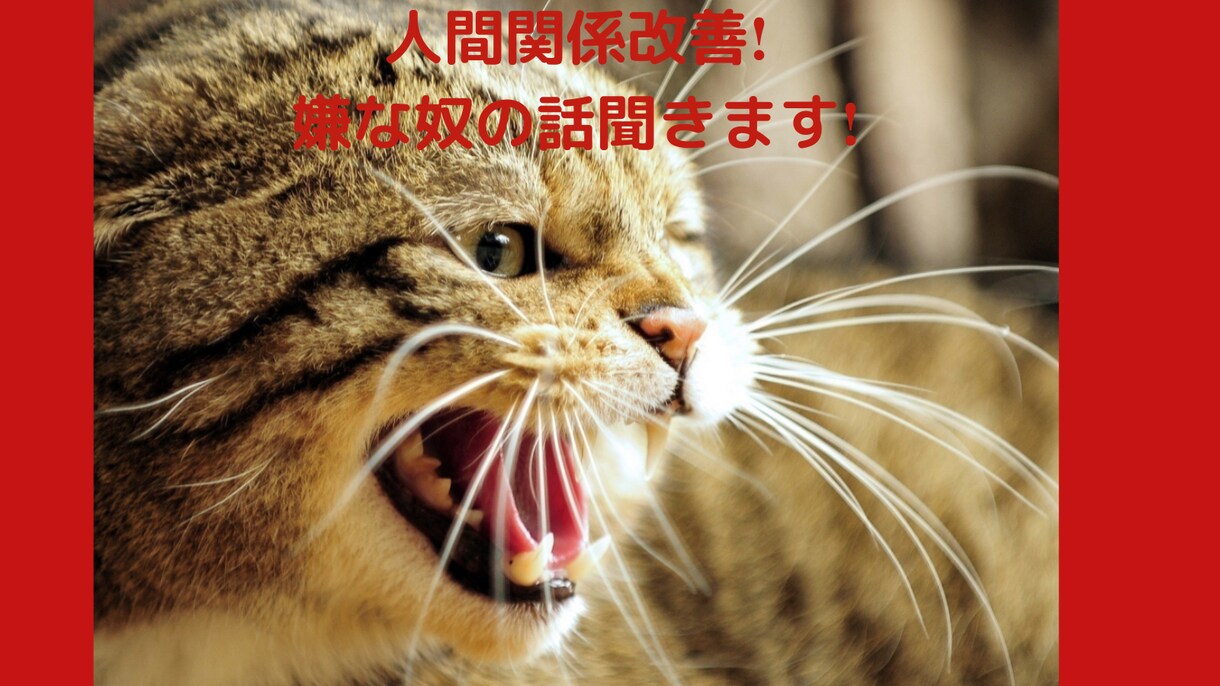 綺麗事一切なし！人間関係改善します まずはお話しお聞かせください！ イメージ1