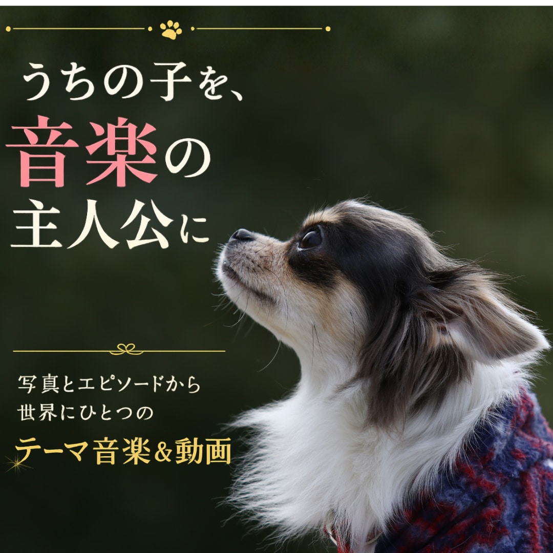 うちの子だけのオリジナルテーマ音楽＆動画を作ります 大切な思い出を、世界にひとつの音楽と映像にします イメージ1