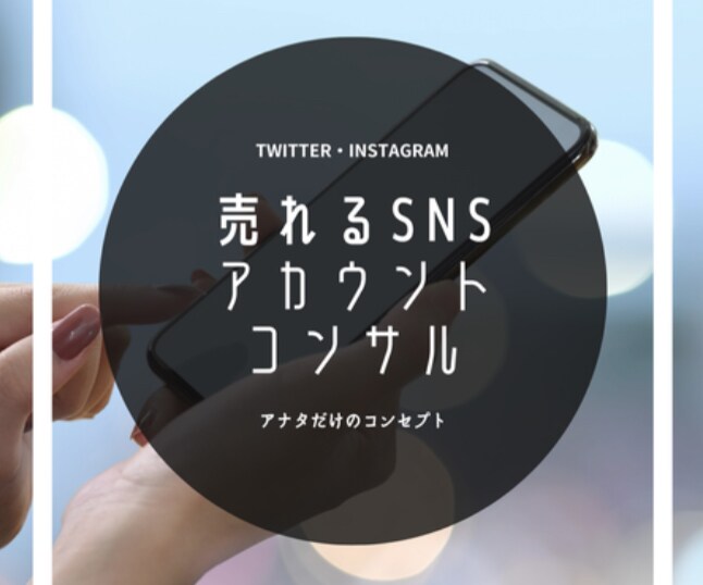 SNS運用の１ヶ月コンサルします Twitter、Instagramコンサル イメージ1