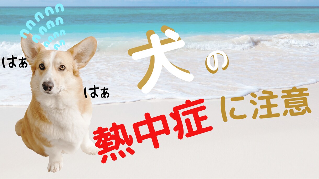 YouTube サムネイル制作します Canvaで作成！YouTube以外にもアイキャッチ画像対応 イメージ7