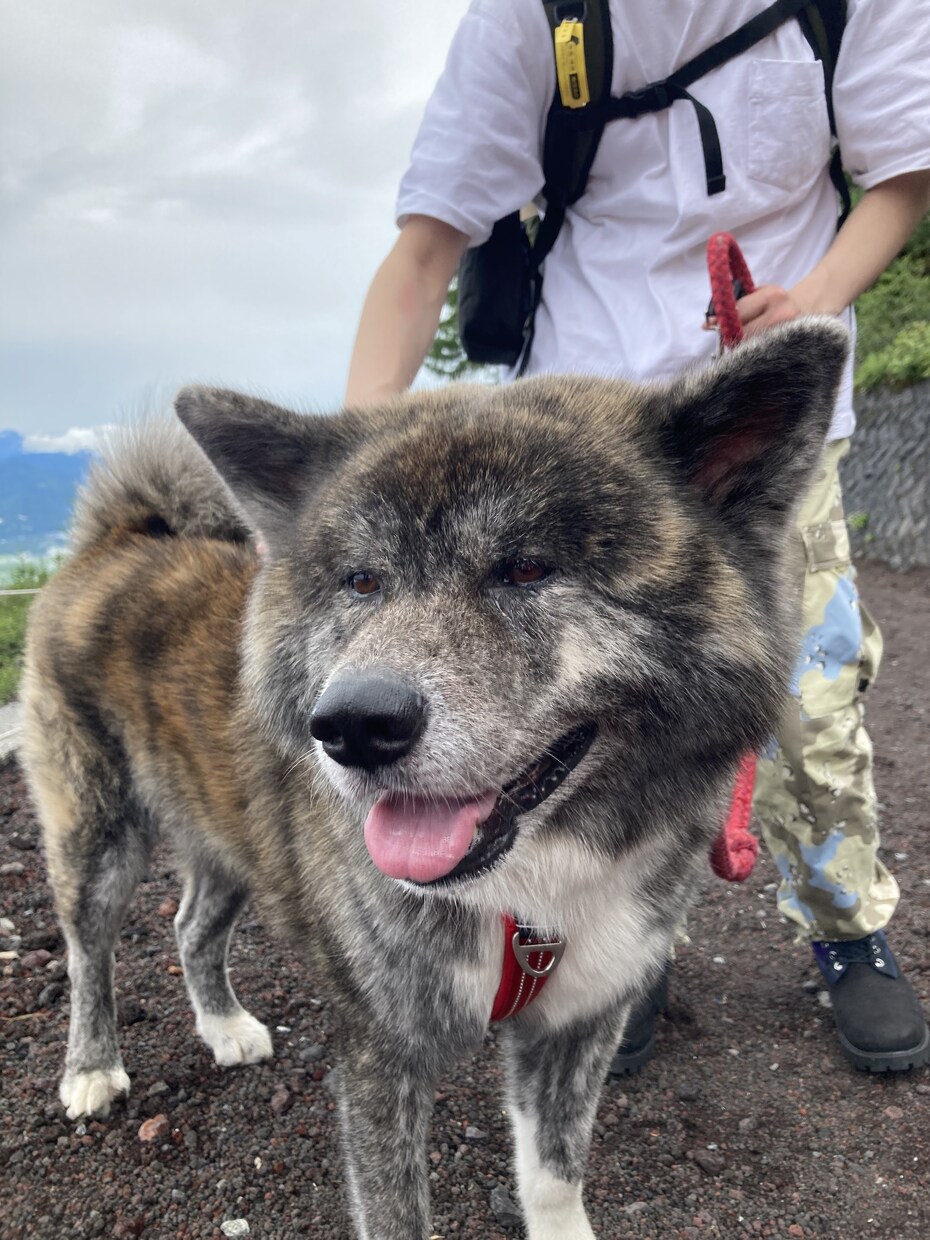 僕がすっきりさせます ちょっとだけ愚痴ってきませんか？ イメージ1