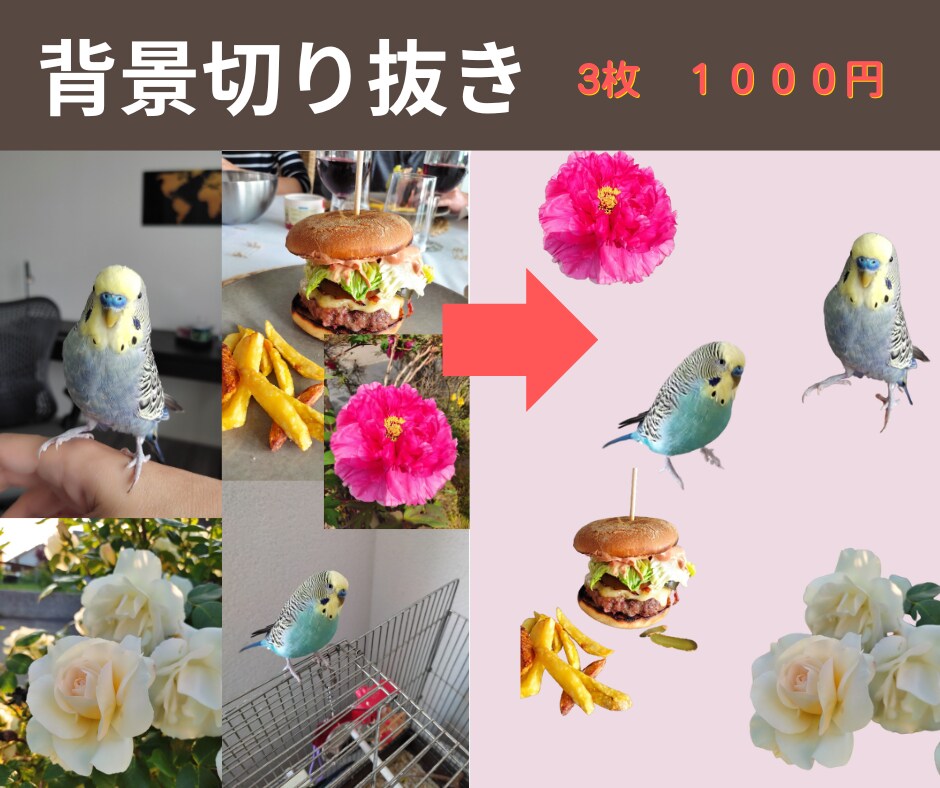 背景切り抜き 3枚で1000円！でご提供します 写真を一瞬で際立たせる！SNS・ビジネスに最適な一枚を。 イメージ1