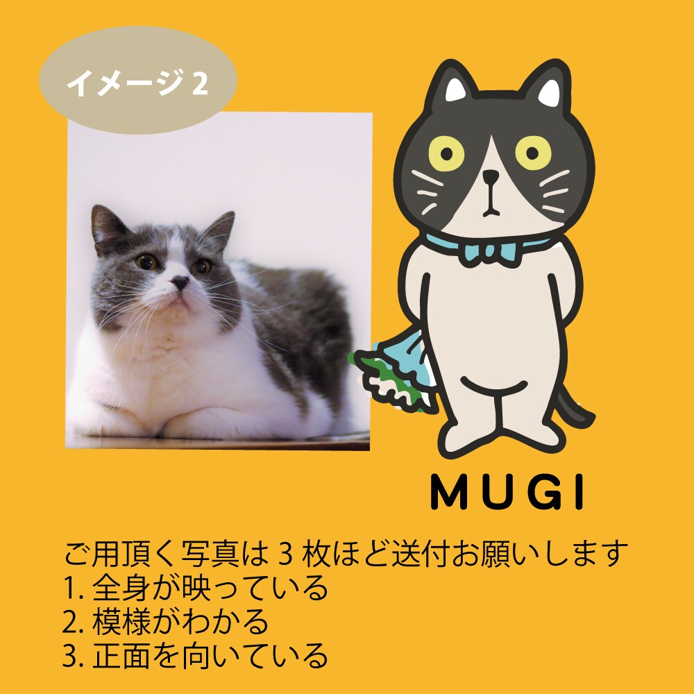 ペットを可愛いキャラクターに！写真を元に描きます アイコンやオリジナルグッズのイラストに使えます イメージ8