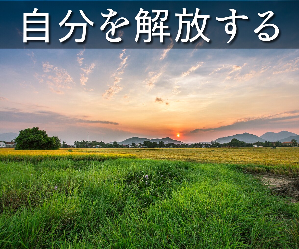 少しだけお話ししませんか？５分でもお聞きします 昔からの知り合いのようにゆるい感じで何でも話してください イメージ3