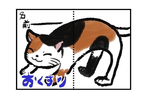 ウチだけのお薬手帳！デザインします 量産型のお薬手帳の表紙からそれぞれのオリジナルの表紙へ イメージ1