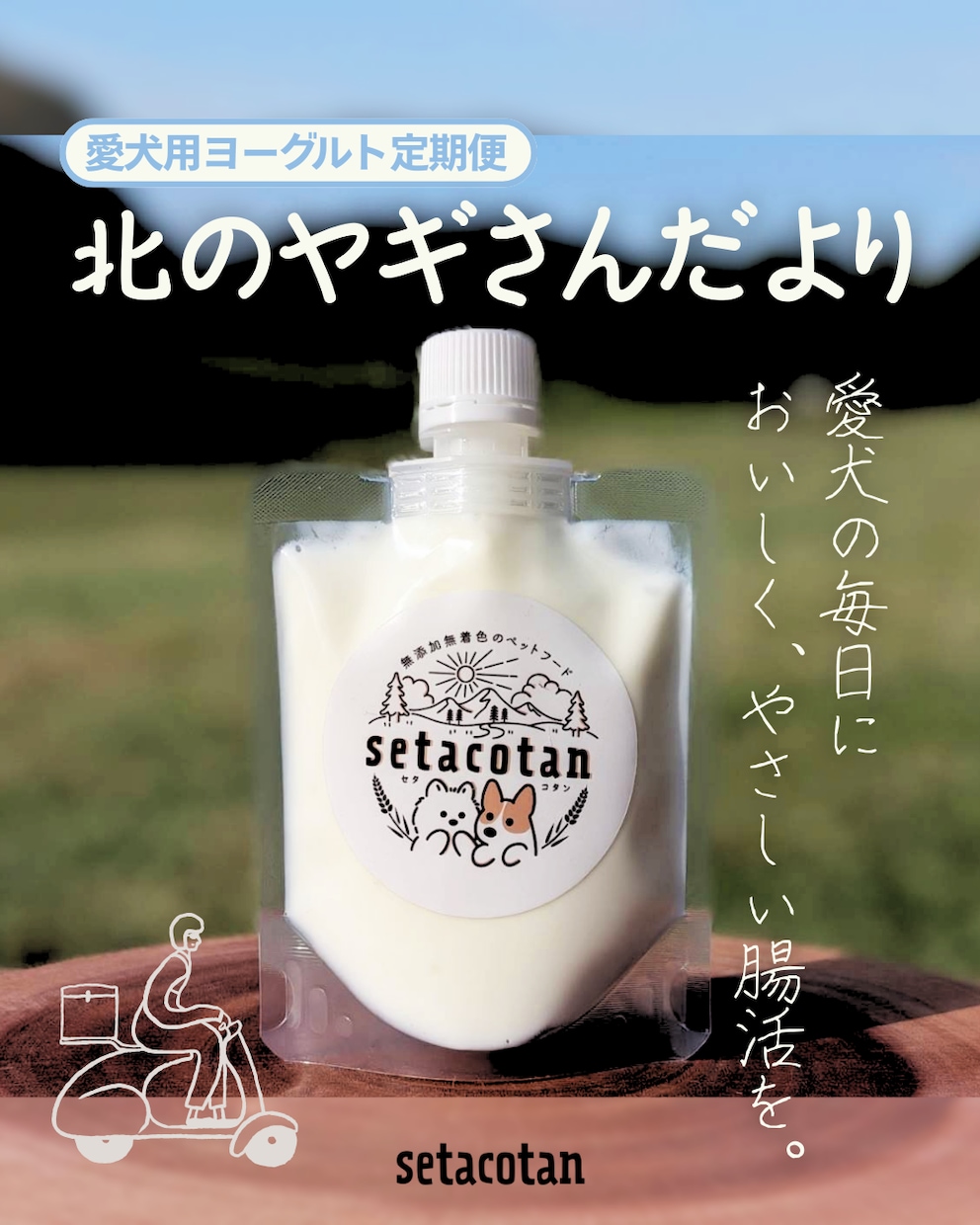 おしゃれで見やすく、「売れる」チラシ作ります 商品の魅力を引き出します＜カフェ・サロン・個人店さま歓迎＞ イメージ1
