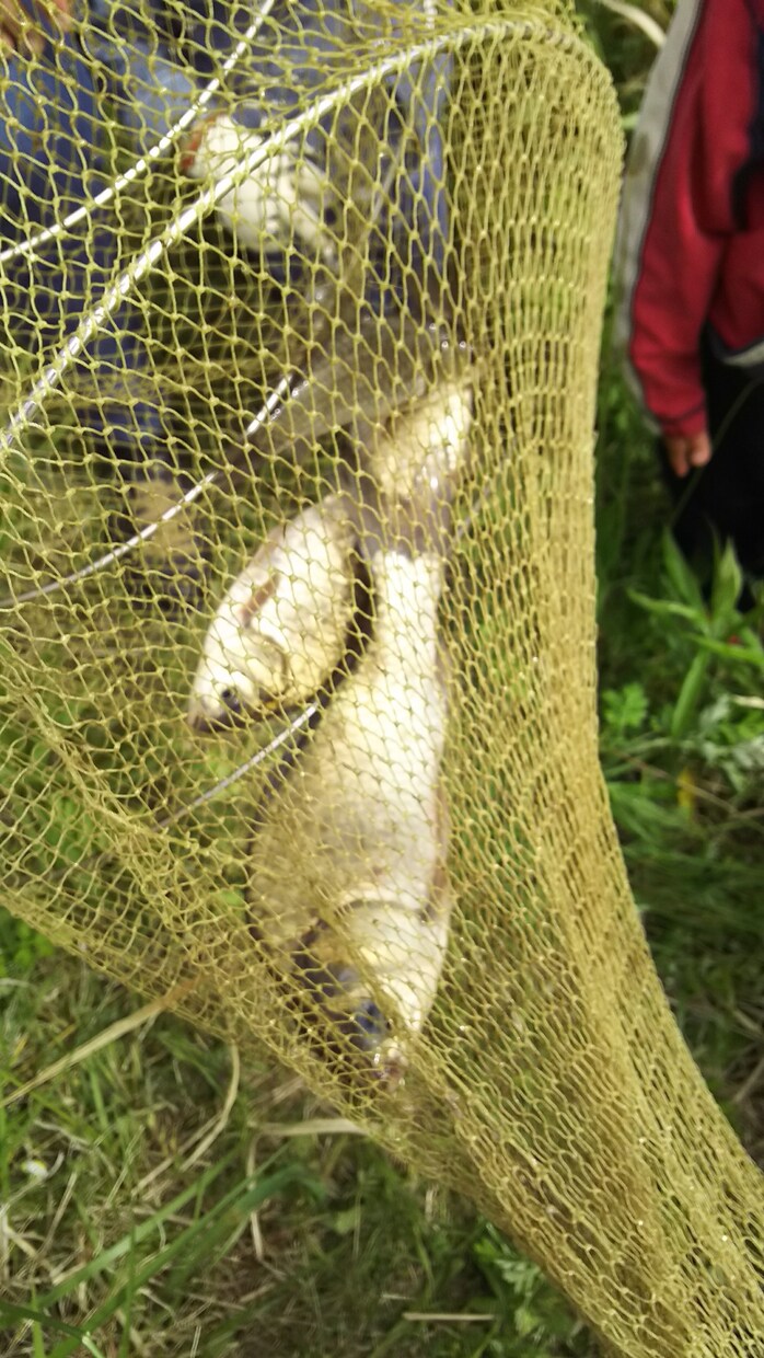 魚釣りのやり方や場所(千葉_東葛地方周辺)教えます 家族で魚釣りしてリラックスしませんか(近所の川や池) イメージ4